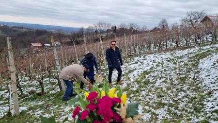 Vincekovo brez meja 7